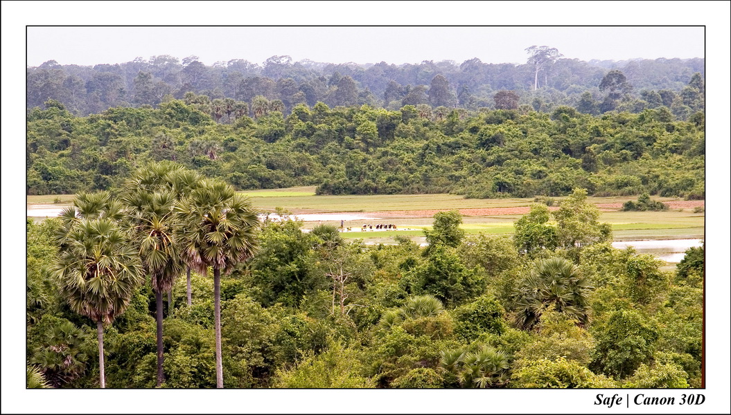 2006 - 07 - Temple angkor - Pre Rup 15